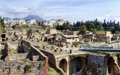 Herculaneum and Vesuvius Fast Track